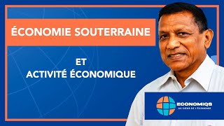 ÉCONOMIE SOUTERRAINE ET ACTIVITÉ ÉCONOMIQUE [upl. by Volnak15]