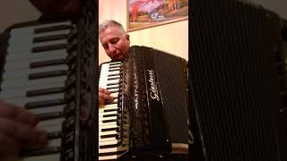 Harmonika Akkordeons Accordions Giustozzi casotto 120 amp 96 bass4 [upl. by Gnaht]