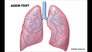 HYPERVENTILATIE TEST ADEMTEST OF CONTROLEPAUZE TEST  buteyko methode [upl. by Sanjiv438]
