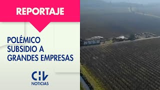 Polémico subsidio de CNR a grandes empresas La desigual pelea entre pequeños y grandes empresarios [upl. by Anrim]