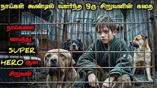 படம் MISS பண்ணா LOSS உங்களுக்கு தான்TVOTamil Voice OverTamil Movie ExplanationTamil Dubbed Movie [upl. by Pattison641]