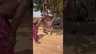 Do this exercise for wider latsNappapower Planetvegetagym bodybuilding fitness africa [upl. by Lennod]