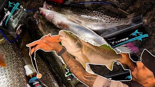 Kayak fishing in ARROYO CITYTX for trout and redfish [upl. by Ahsitan]