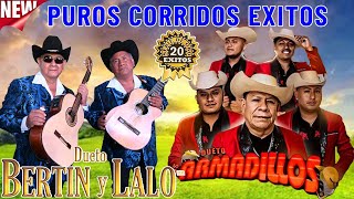 DUETO BERTIN Y LALO Y DUETO LOS ARMADILLOS DE LA SIERRA  PUROS CORRIDOS EXITOS [upl. by Sammons422]