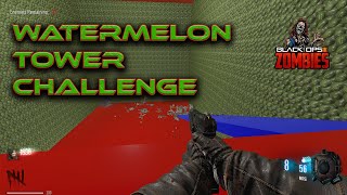 Watermelon Tower Challenge BO3 Customs [upl. by Halli820]