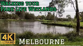 Melbourne PARK LIFE Walking Tour Australia 4K  Huntingdale Wetlands Scotchmans Creek  Birds Nature [upl. by Uni849]