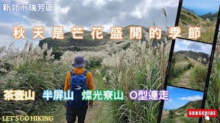 【新北瑞芳】秋天是芒花盛開的季節｜今天帶大家來金瓜石欣賞芒花│黃金博物館│茶壺山│半屏山│燦光寮O型連走│所需時間約5小時 [upl. by Dowell]