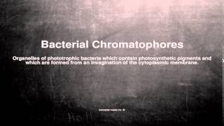 Medical vocabulary What does Bacterial Chromatophores mean [upl. by Aeli]