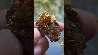 Wulfenite flowergemstone fineminerals wulfenite mineralspecimen [upl. by Annaiek454]