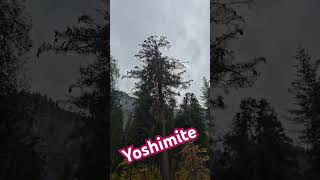 Yosemite National Forest 2024 rvliving travel yosemite [upl. by Anahsohs386]