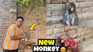 Samad Pets Vlog Walo Ki Feuona Monkey Hum Nay Lay Li😍Yeh Bohat Shaitan Hai🤬 [upl. by Laefar]