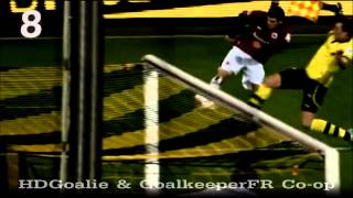 Roman Weidenfeller  Top 15 Saves 20112013 HD [upl. by Argile]