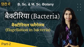 Bacteria in Hindi बैक्टीरिया हिंदी में  flagellation in bacteria  Botany  B Sc amp M Sc [upl. by Uno]