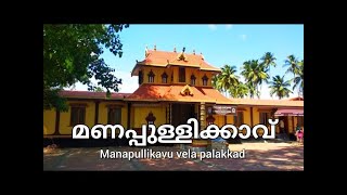 മണപ്പുള്ളിക്കാവ് വേല 2024  Manapullikavu Vela Kodiyettam 2024  Palakkad [upl. by Nazario421]