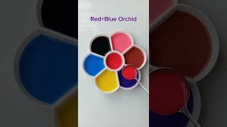 Red color making with 6 color mixing 🥰colormixing colormixingmagic art [upl. by Poppas]