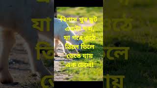 Bidi Tumi Bole Dao Ami kar  Shorts Video  Bangla Shorts  Alfarjana [upl. by Nirol]