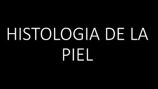 Histología de la Piel [upl. by Erwin266]