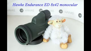 Hawke Endurance ED 8x42 monocular review [upl. by Vasilek164]