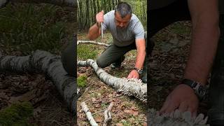 Survival Skills Fire Starting with Wet Birch Bark and Magnesium survival camping lifehacks [upl. by Raimes681]