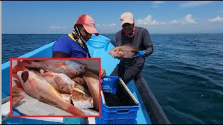 Pesca de Pargos con simbra en Alta mar [upl. by Intisar]