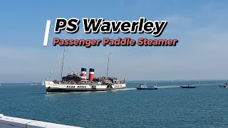 PS Waverley [upl. by Taddeo13]