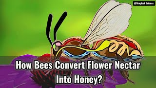 How Bees Convert Flower Nectar Into Honey [upl. by Sherburne]