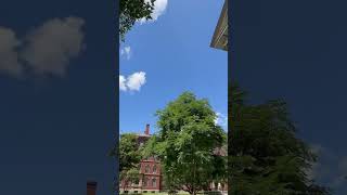 Harvard University Campus Tour [upl. by Irrac767]