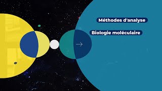 Methodes danalyse  Biologie moléculaire [upl. by Aiceled]