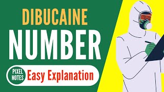 Dibucaine Number  Pseudocholinesterase Activity [upl. by Aina733]