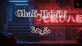 GhaliHabibi مترجمة أغنية حب ايطالية [upl. by Mezoff]