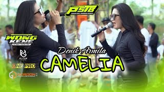 DENIK ARMILA  CAMELIA   LIVE PEMUDA SUKO TAMANSARI BERSATU PSTB  ONE PRO X GORDON AUDIO [upl. by Dinah]