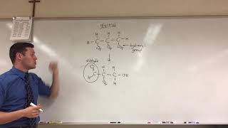 AP Biology Glyceraldehyde 3phosphate G3P [upl. by Nyrrek449]