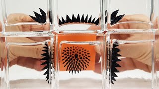 Ferrofluid in a bottle to view Magnetic Fields  Magnetic Games [upl. by Achorn]