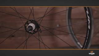 Fulcrum Racing Quattro LG Alloy Clincher Wheelset [upl. by Chute92]