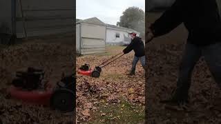 Mulching leaves with push mower powertool satisfying leaves [upl. by Atrebor]