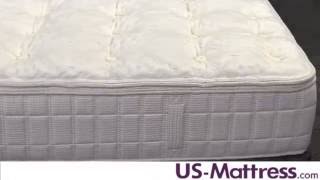 Aireloom Sierra Preferred Sahara Dream Luxetop Plush Mattress Expert Review [upl. by Robin]