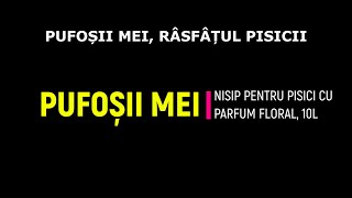 PUFOȘII MEI RÂSFÂȚUL PISICII [upl. by Kobylak133]