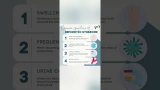 NEPHROTIC SYNDROME [upl. by Htrap]