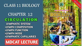 LYMPHATIC SYSTEM  LYMPH FLOW COMPOSITION OF FLUIDLYMPHATIC VESSELS  CLASS 11 MDCAT BIOLOGY [upl. by Siravart320]