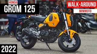 2022 Honda Grom 125 Walkaround Yellow  125cc miniMOTO Motorcycle [upl. by Hoffman]