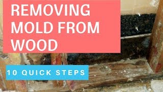 Proven Ways To Remove Mold From Wood How To Remove Mold Inside Walls [upl. by Oiredised]