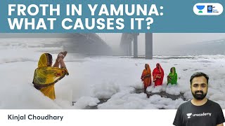 What Causes Froathing In Yamuna River In Delhi  Why Is It Dangerous  Toxic Foam  Chhath Puja [upl. by Ehcor]