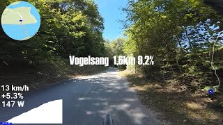 Vogelsang Climb [upl. by Florencia]