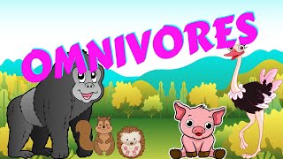 Omnivores  Types of Animal  Science for Kids [upl. by Yelsna]