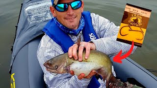 Fishing Interstate Waters with Kayak K2 Intex Explorer4 different species caught [upl. by Idnac]