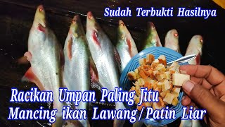 RACIKAN UMPAN PALING JITU MANCING IKAN LAWANG  PATIN LIAR DAN JUGA IKAN KELABAU [upl. by Shell]