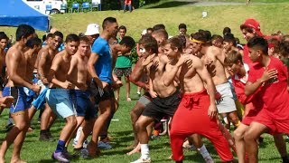 NELSON COLLEGE HOUSE ATHLETICS 2014 [upl. by Latty323]