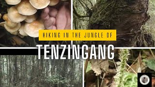 Hiking in the jungle of TENZINGANG tibetanvloger [upl. by Valleau]