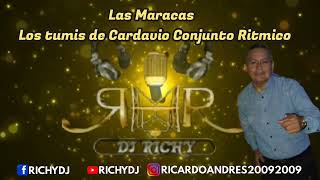 Las Maracas  Los Tumis de Cardavio Conjunto Ritmico  RICHY DJ [upl. by Mcmillan]