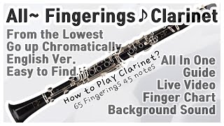 ClarinetAll 65 Fingerings 45 notes All In One Guide ChromaticallyENG [upl. by Fitalludba]